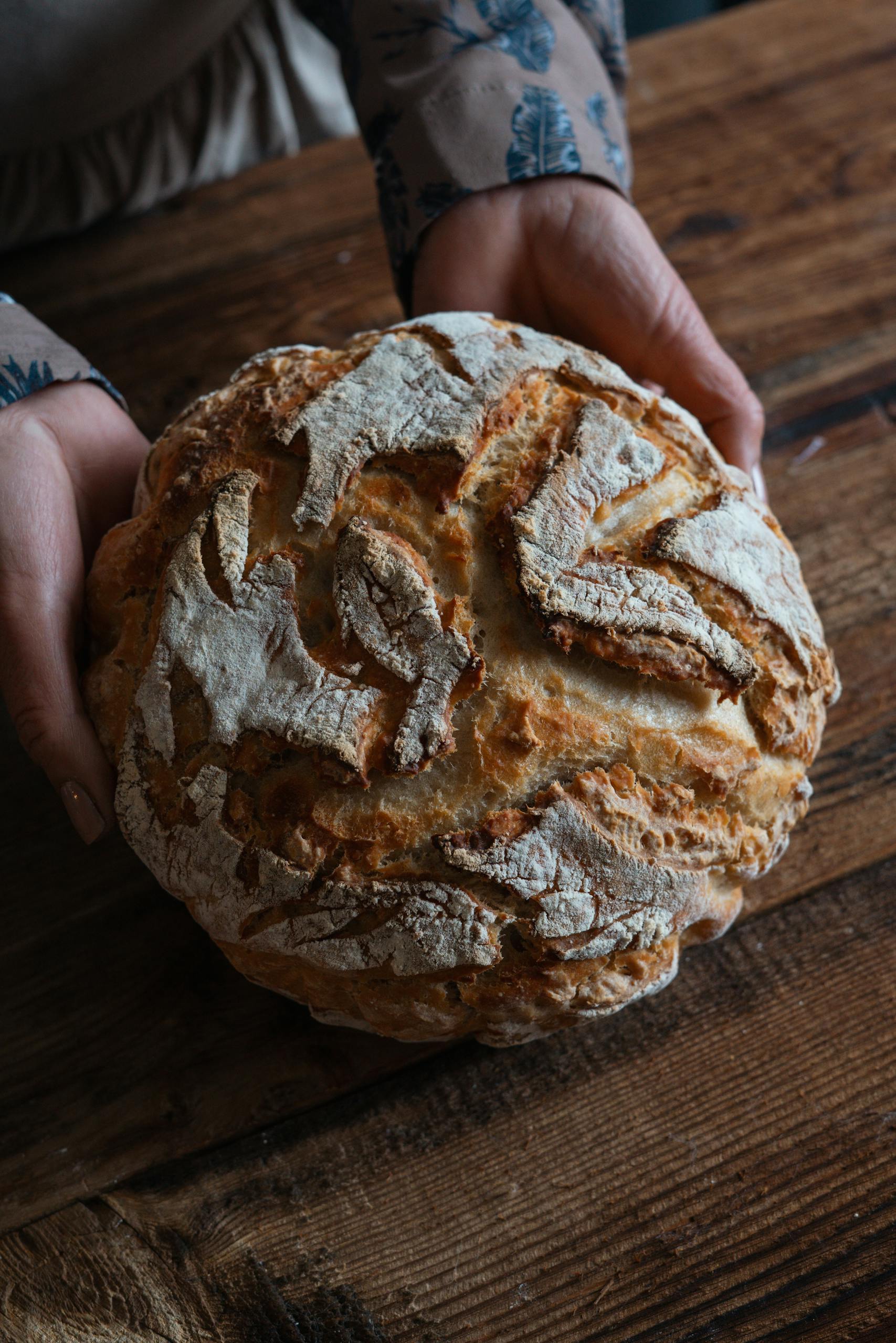 Hands holding a freshly baked rustic artisan bread loaf on a wooden table.